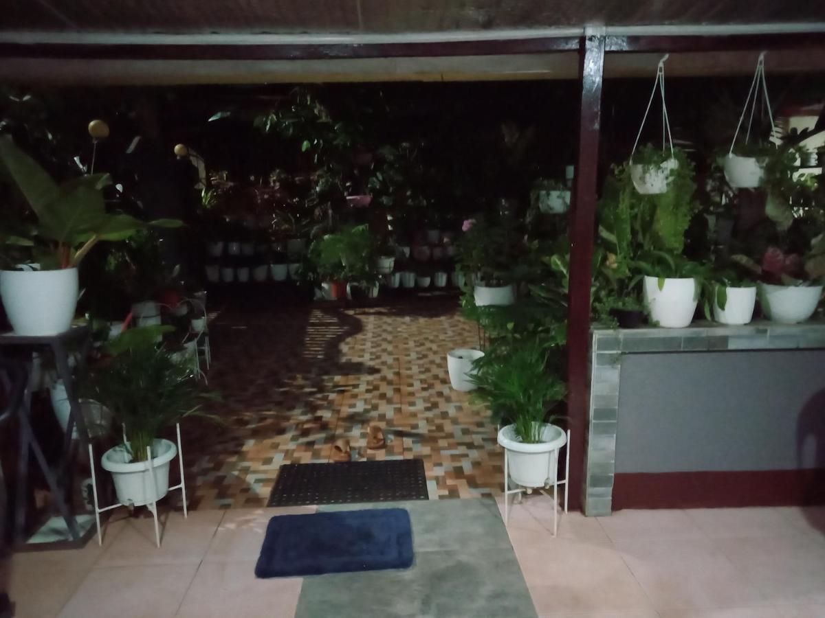 Dalindas Homestay Puerto Princesa Dış mekan fotoğraf