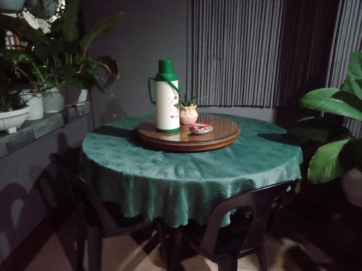 Dalindas Homestay Puerto Princesa Dış mekan fotoğraf